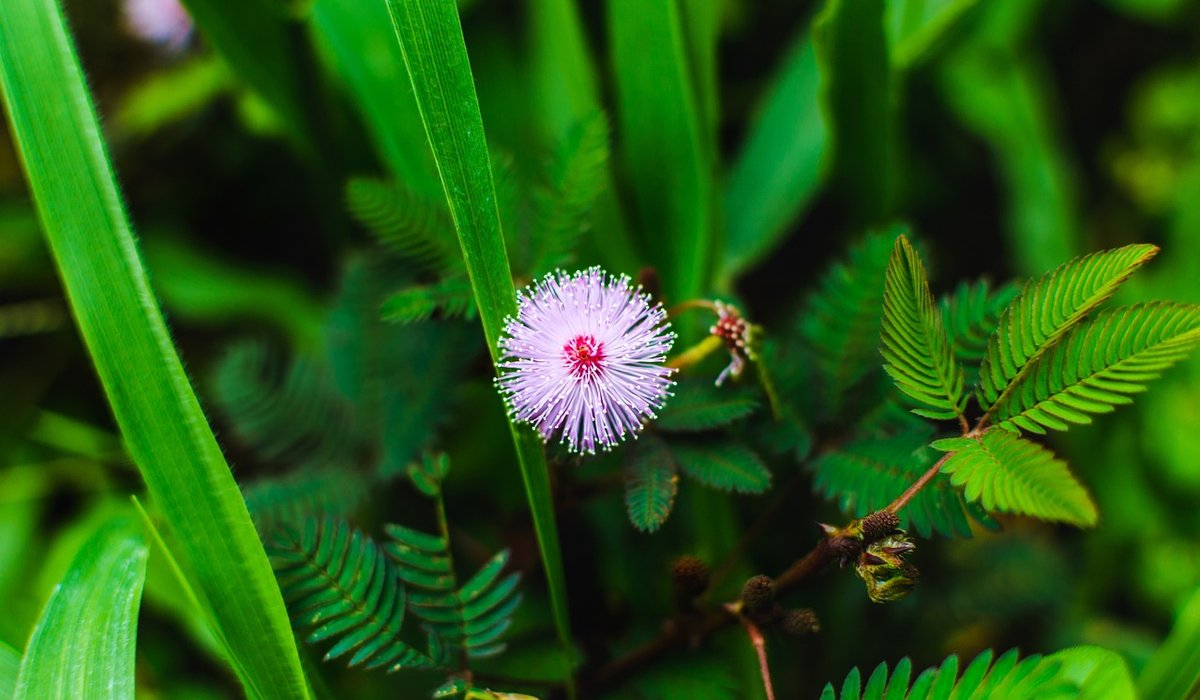 blog single post